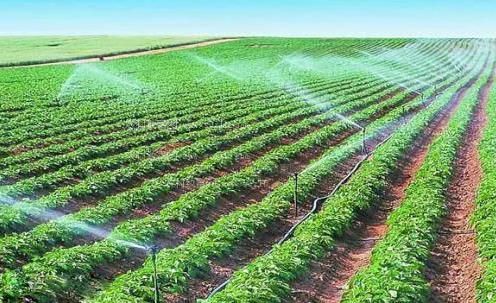 肏屄小说和肏屄视频免费观看农田高 效节水灌溉